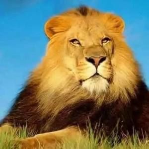 Meet your Posher, Ali